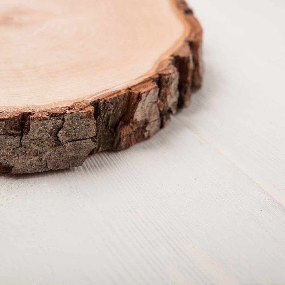 Baum Rundscheibe zum Basteln, Natürliche Holzscheibe mit Rinde, Rindenbrett als schlichte Holzdeko, Holzschild als Deko Tablett und Untersetzer