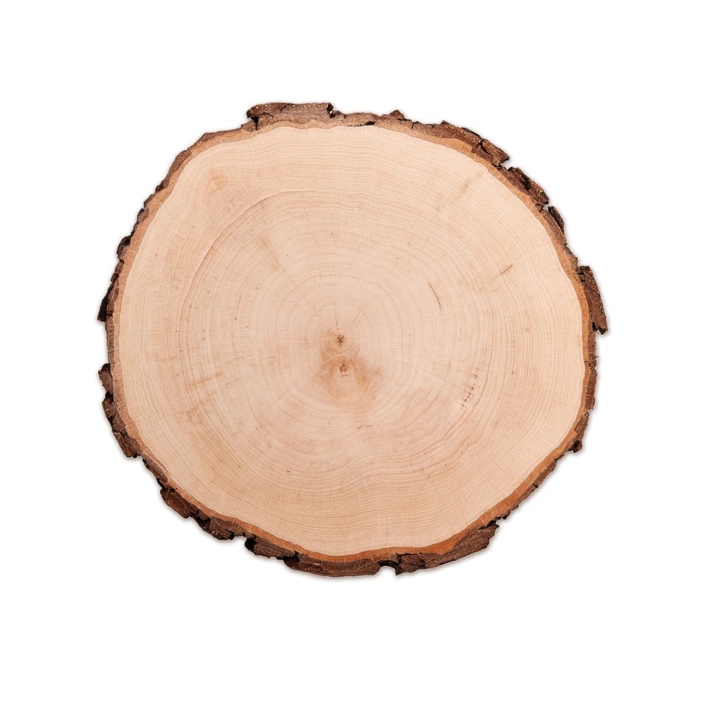 Baum Rundscheibe zum Basteln, Natürliche Holzscheibe mit Rinde, Rindenbrett als schlichte Holzdeko, Holzschild als Deko Tablett und Untersetzer