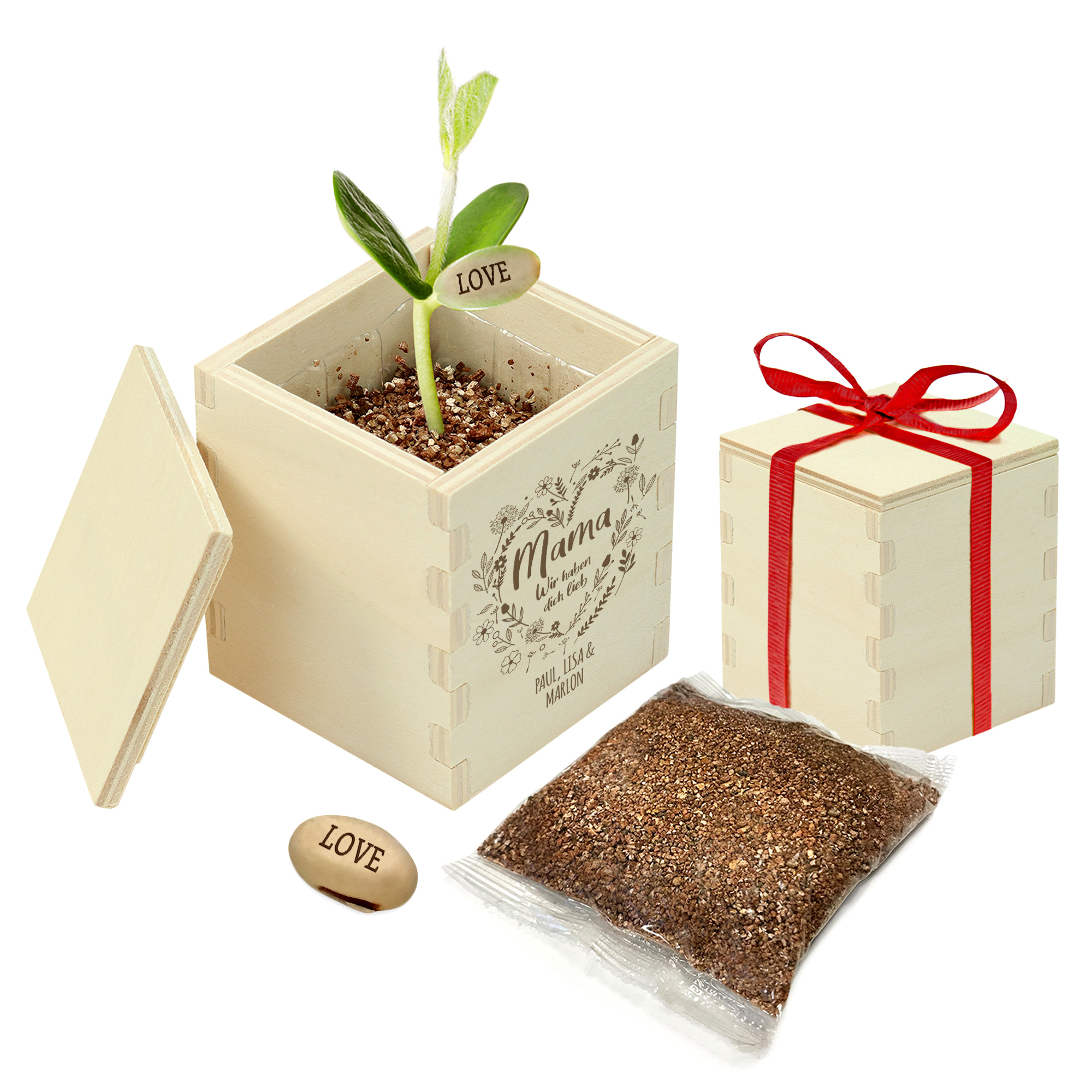 Bohnenpflanze mit Botschaft - in personalisierter Holzbox für Mama, DIY Blumensamen Pflanzkit zum Selbersähen, Glücksbohnenals Muttertagsgeschenk