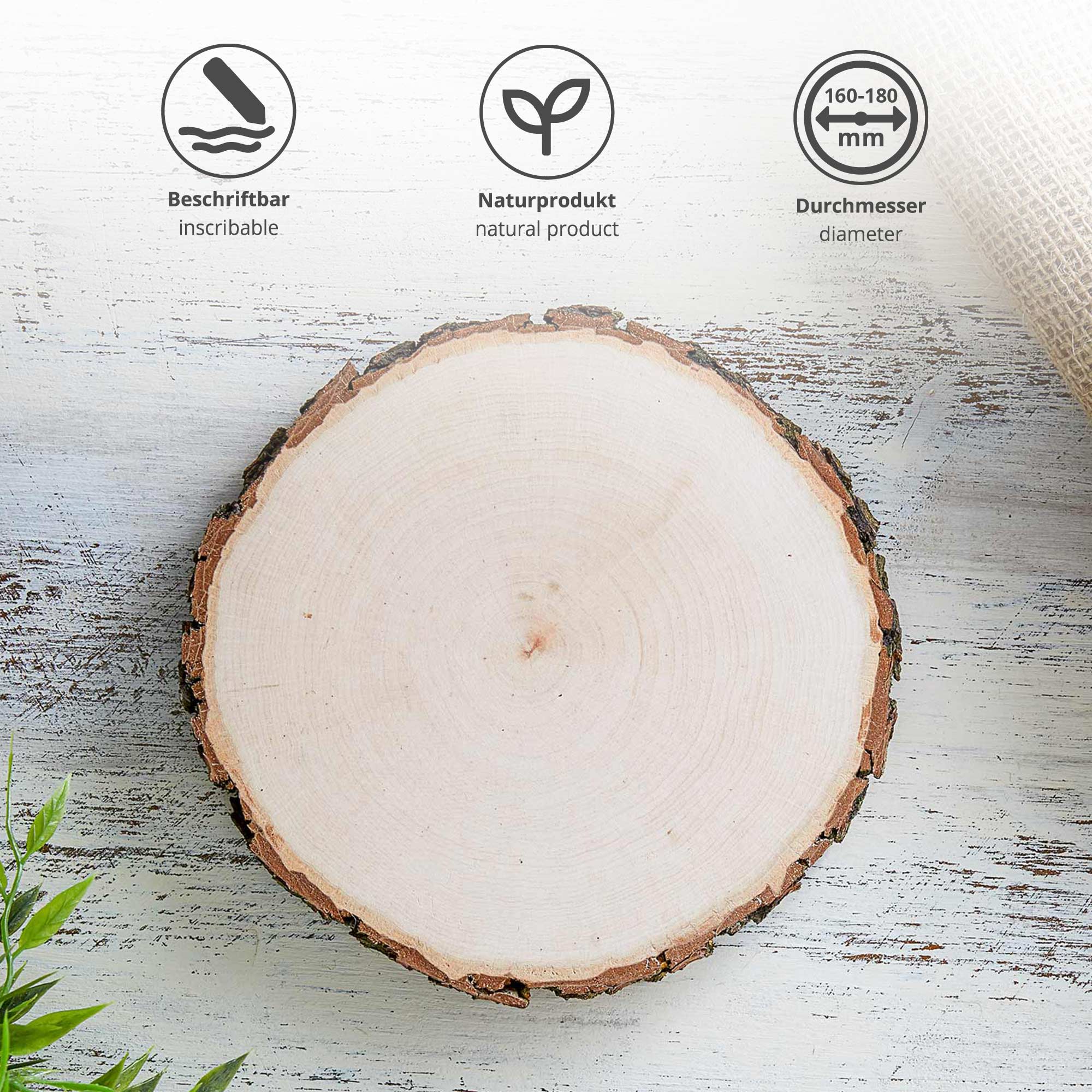 Holz Rundscheibe zum Verzieren, Holzscheibe im 5er Set als Untersetzer oder Tablett, Runde Natur Astscheiben als Holzdeko, DIY Holz Dekoscheiben