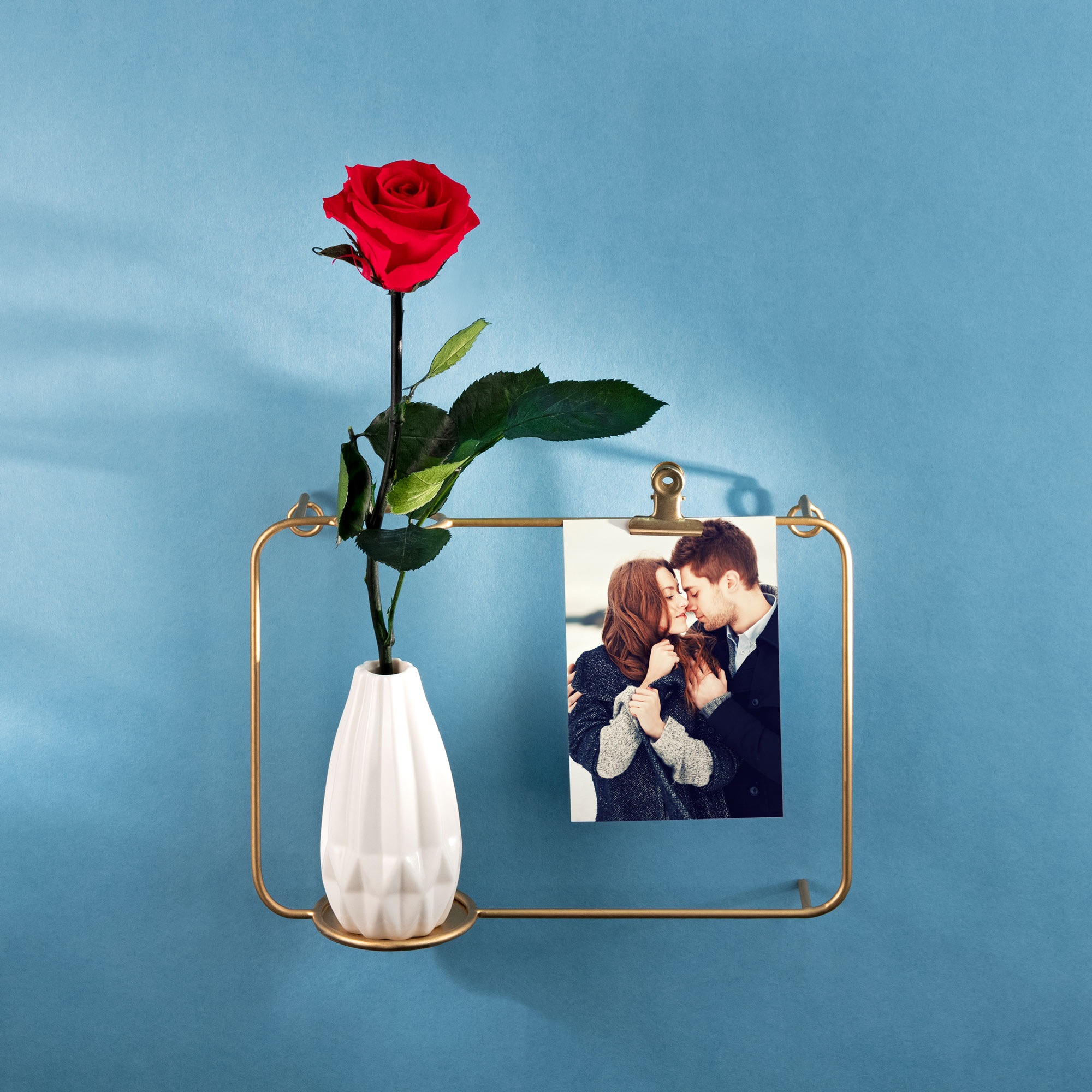 Unvergängliche Rose - Geschenkidee Valentinstag