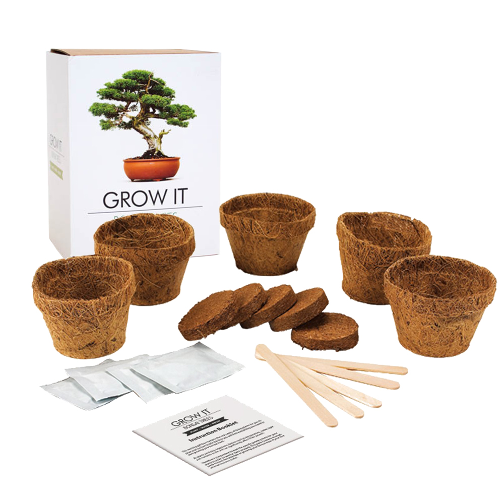 Bonsai Bäume selber pflanzen Set Bonsai Bäume selber pflanzen Set