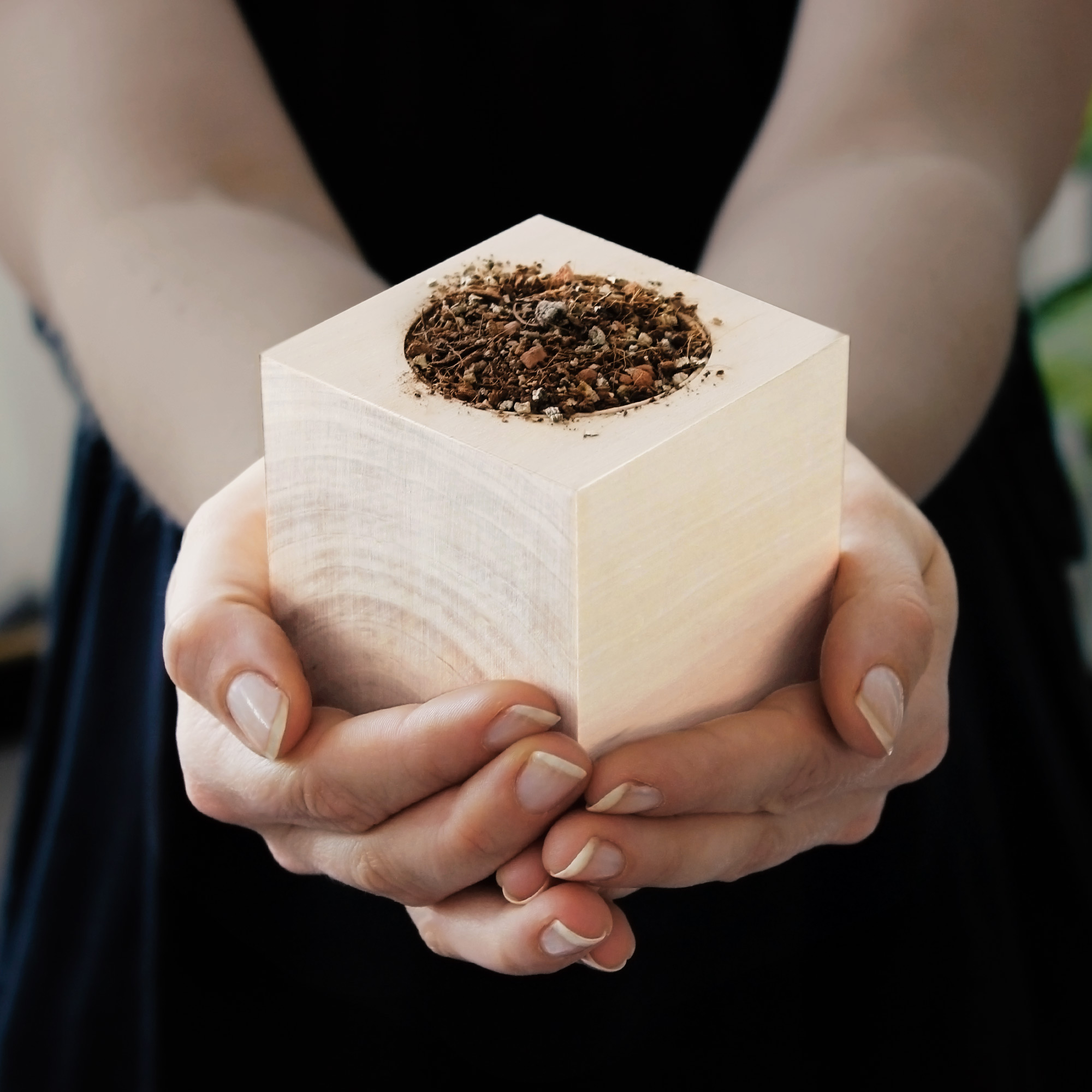 Ökologisches Klee Pflanzset, Herzblattklee im Holzwürfel züchten, Roter Glücksklee im Eco Cube, Kompostierbares Anzuchtset für Dreiecksklee