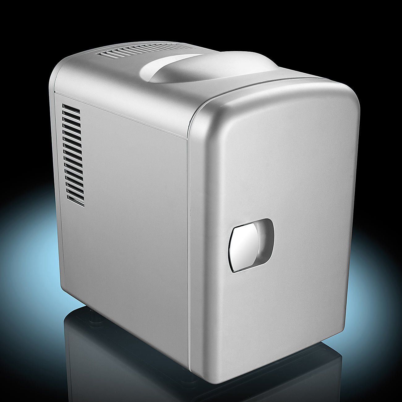 Kleiner Kühlschrank für 12/230 V