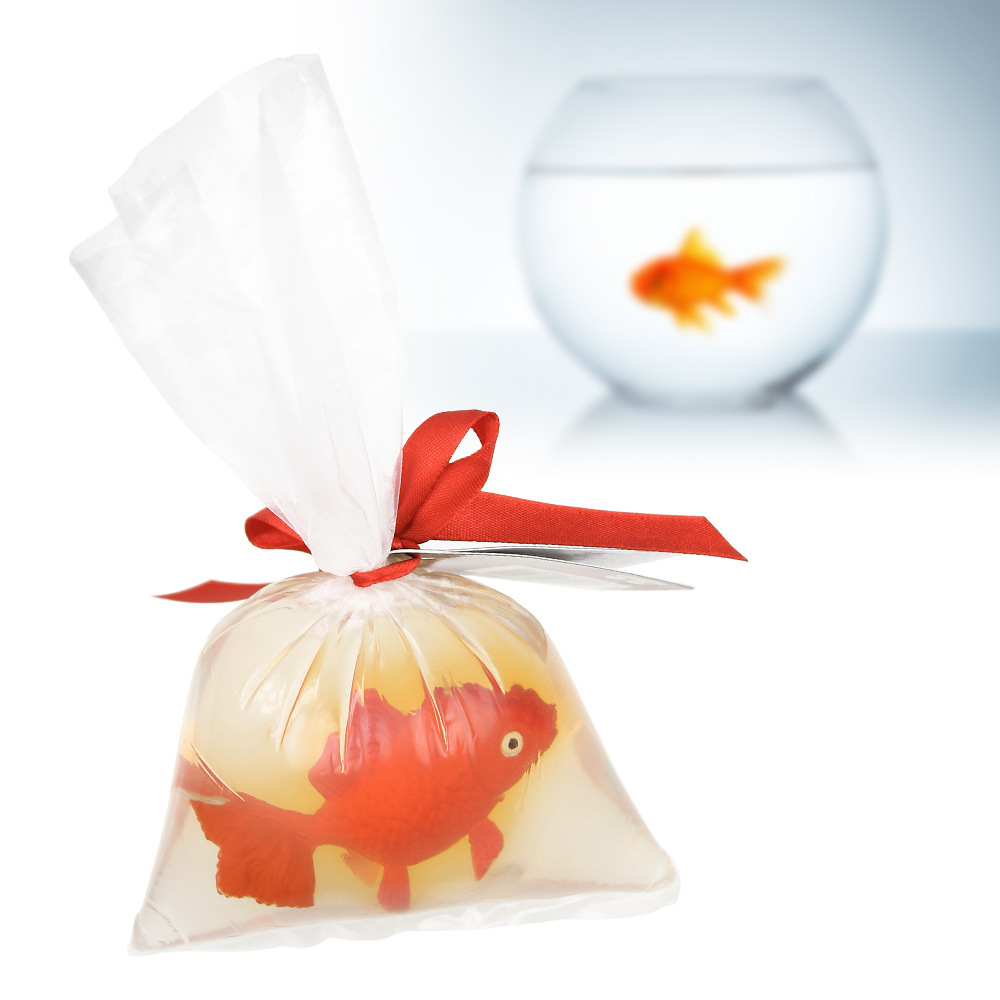 Seife mit Goldfischfigur, Witzige Baddekoration, Goldfischseife, Goldfisch Seife, Fisch Seife, Seife als Geschenk