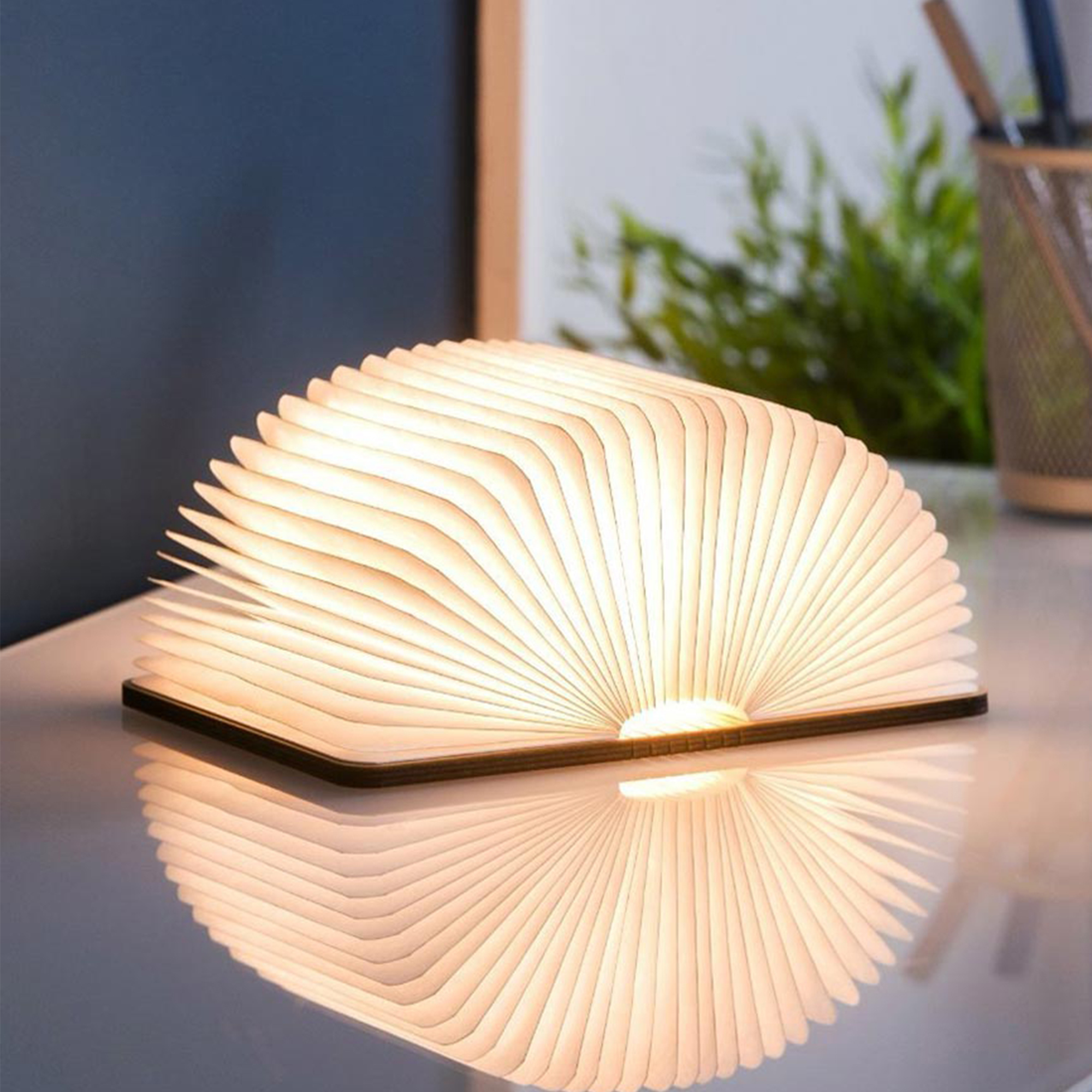 LED Lampe Buch