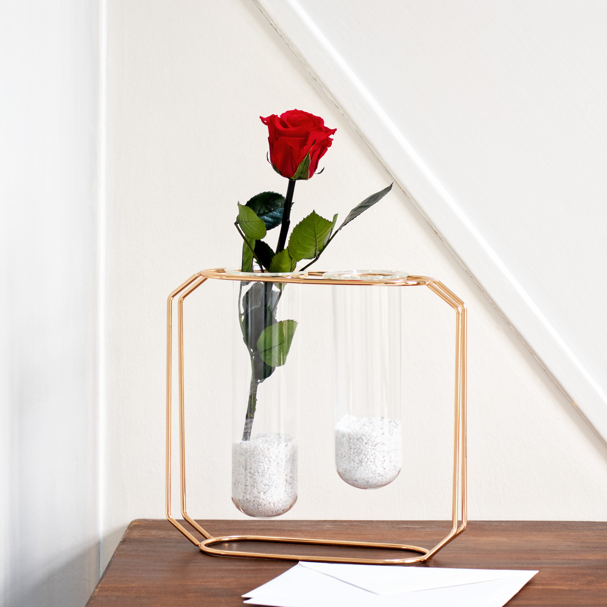 Unvergängliche Rose - Geschenkidee Valentinstag Unvergängliche Rose - Geschenkidee Valentinstag