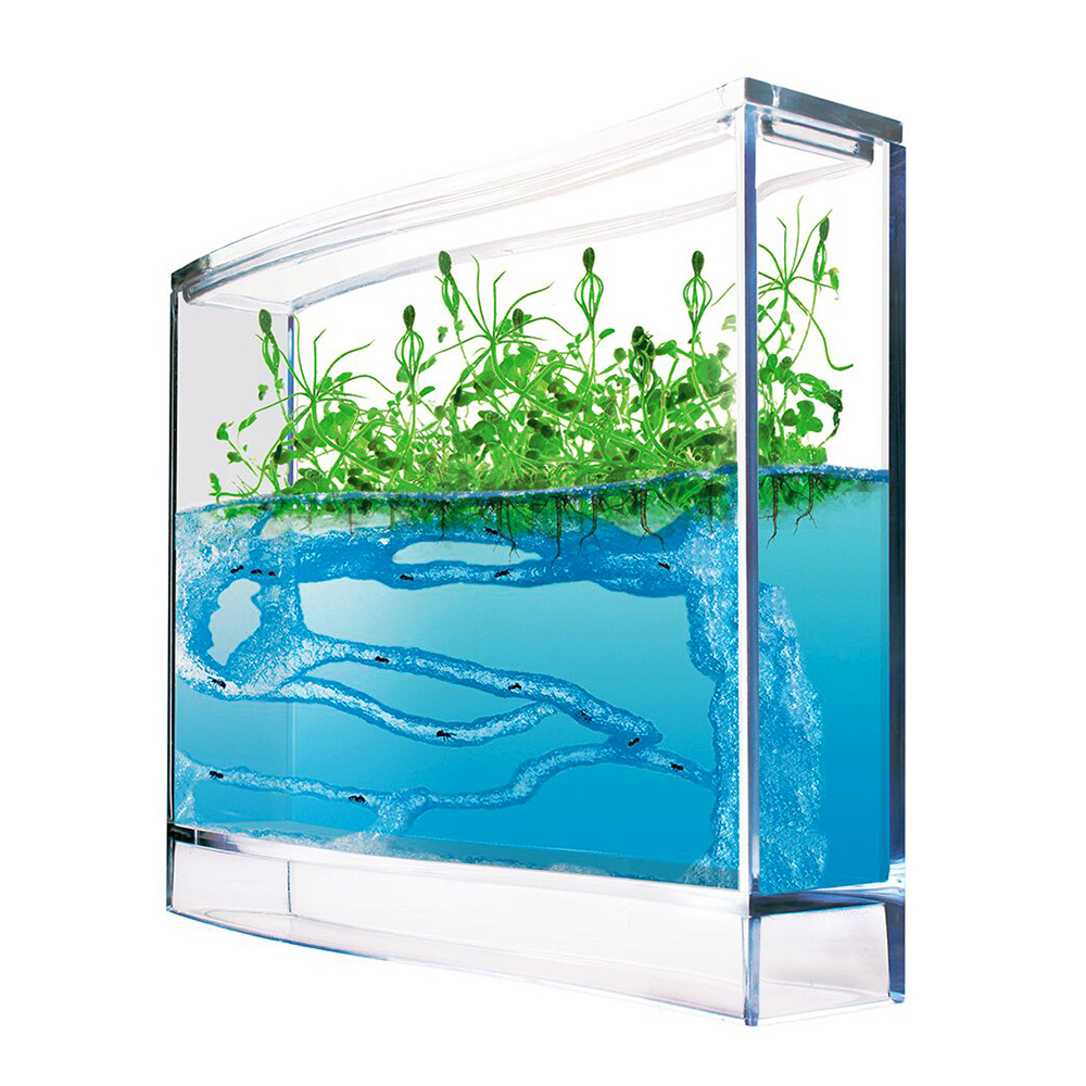 Ameisen Terrarium mit Gel Ökosystem Ameisen Terrarium mit Gel Ökosystem