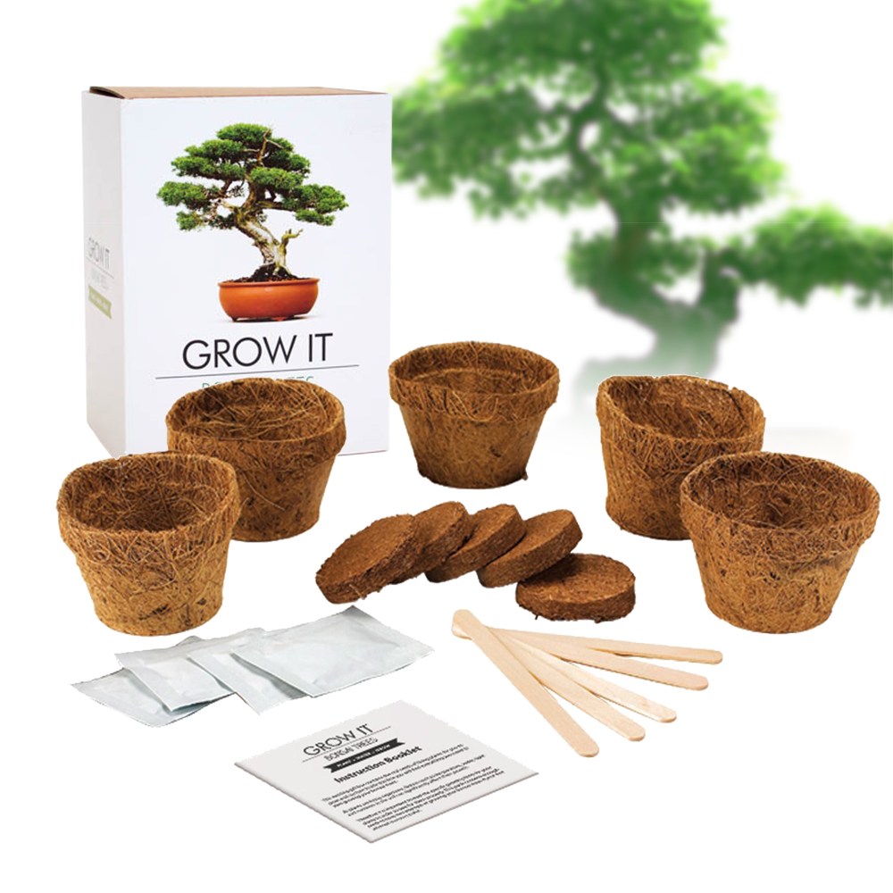Bonsai Bäume selber pflanzen Set Bonsai Bäume selber pflanzen Set
