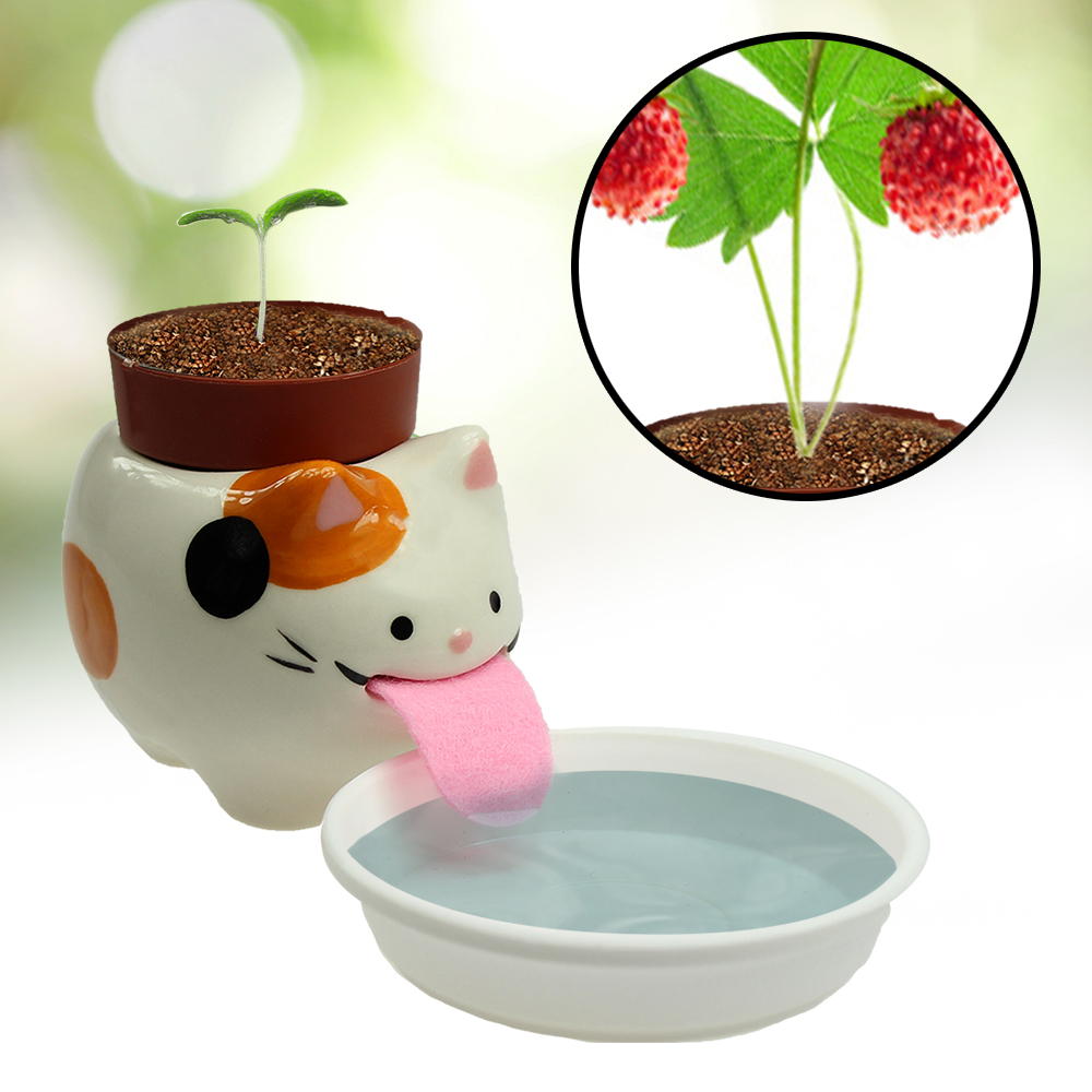 Erdbeerpflanze im Peropon Topf - Katzenmotiv