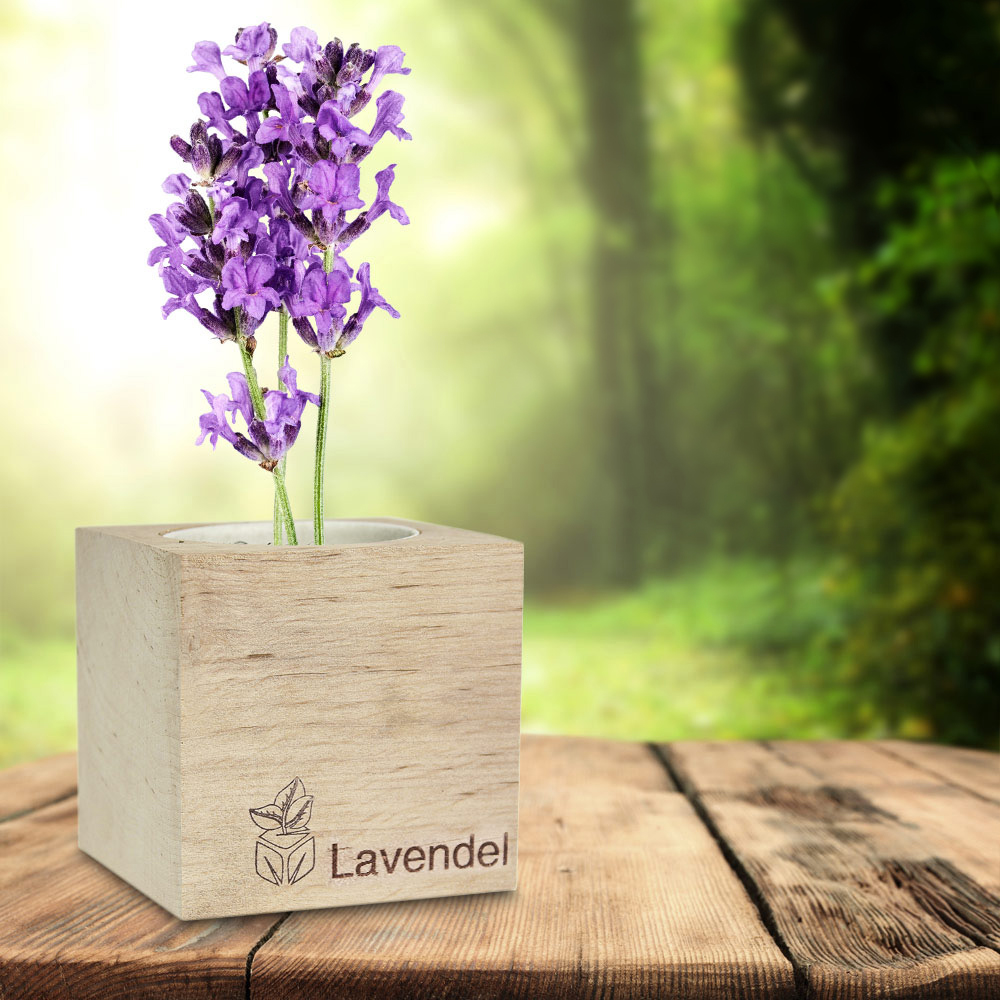 Eco Holzwürfel Lavendel