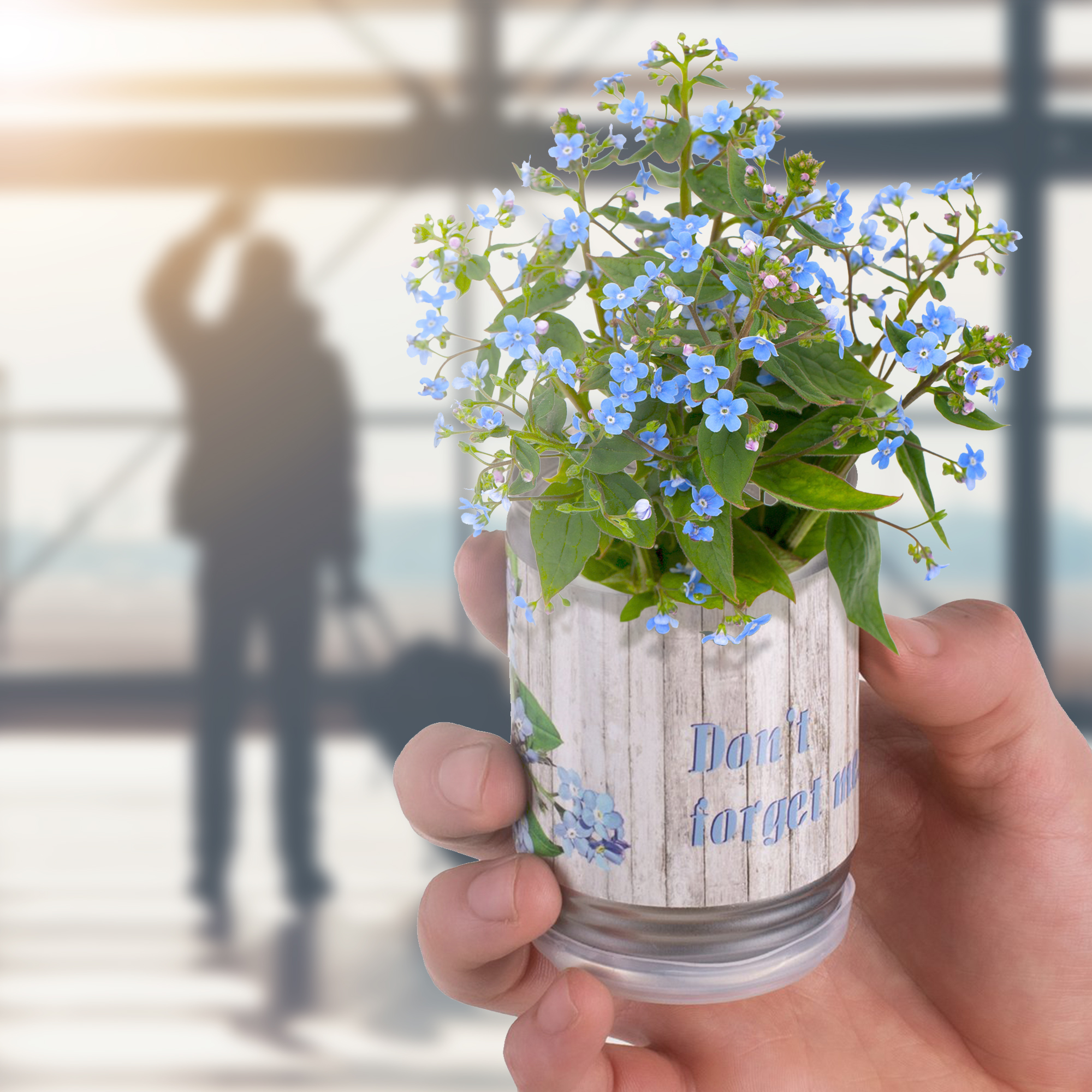 Pflanze aus der Dose - Vergissmeinnicht Blume selber pflanzen Vergissmeinnicht Dosenpflanze zum selber züchten, Vergiss mein nicht Blume im Pflanzen-Set mit Saatgut, Blumensamen für Mini Pflanze in der Dose