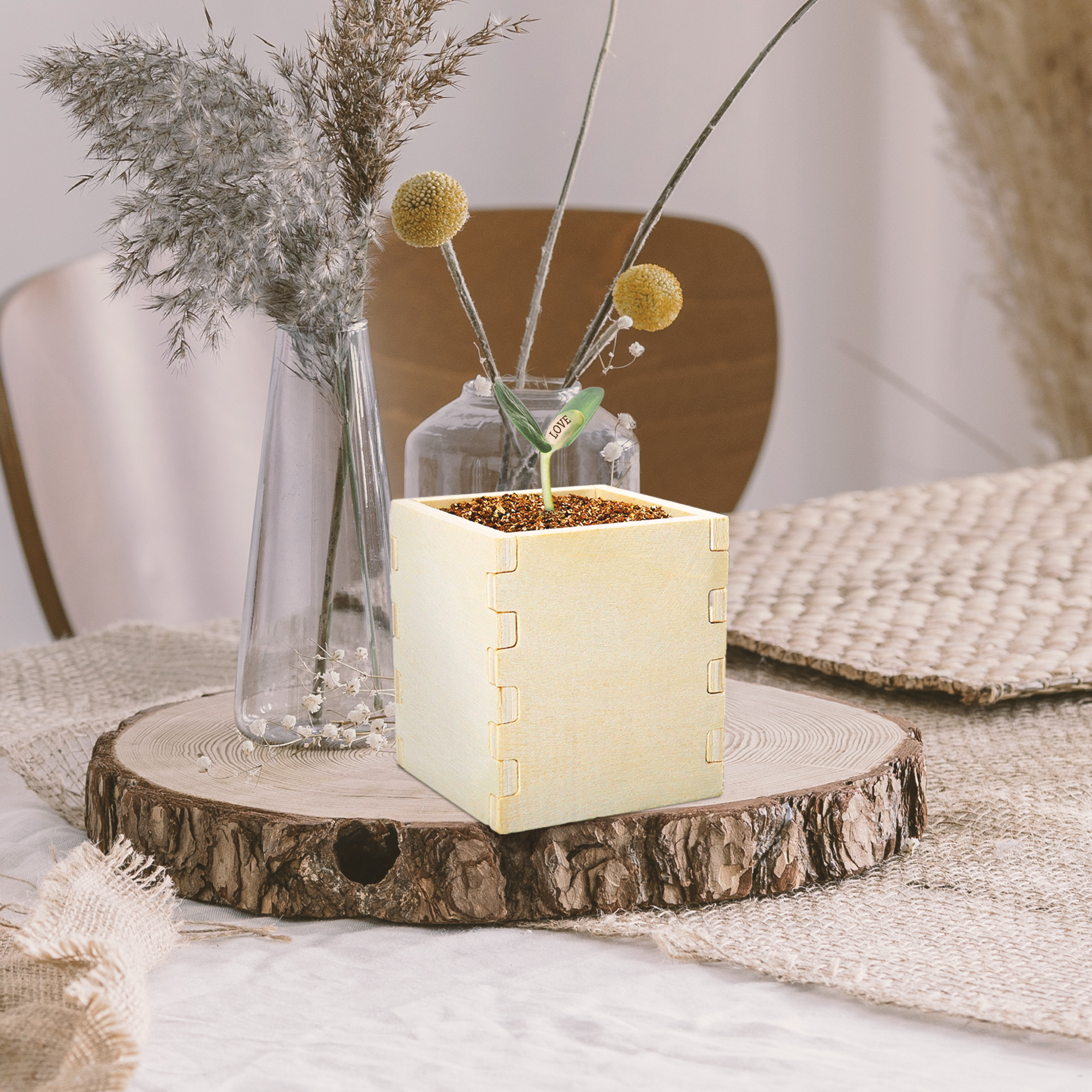 Zauberbohne - Liebesgeschenk Zauberbohne - Liebesgeschenk 5
