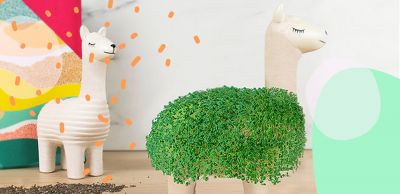 danato: Lifestyle- & Geschenkartikel | Immer eine Idee besser